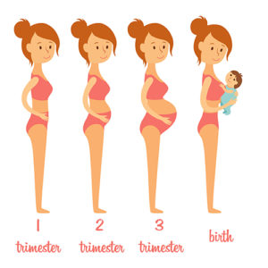 how-your-body-changes-during-pregnancy