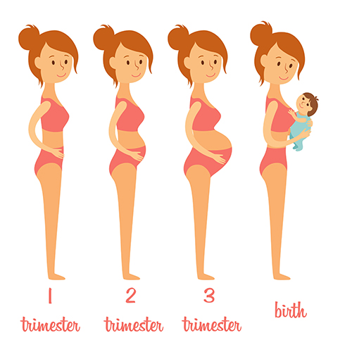 how-your-body-changes-during-pregnancy